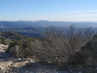 Pic de Bertagne desde Plan-d'Aups-Sainte-Baume