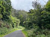 Pico das Caldeirinhas von Urzelina