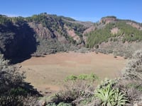 Pico de las Nieves from Ingenio