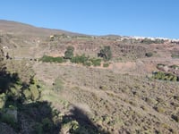 Pico de las Nieves from Ingenio