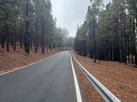 Pico de las Nieves from Ingenio