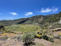 Pico de las Nieves