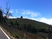 Pico de las Nieves