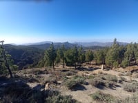 Pico de las Nieves
