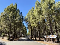 Pico de las Nieves