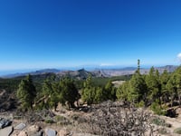 Pico de las Nieves
