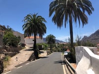 Pico de las Nieves