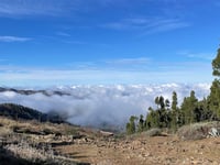 Pico de las Nieves