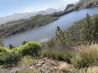 Pico de las Nieves from La Playa de Mogán