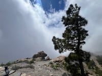 Pico de las Nieves da Telde