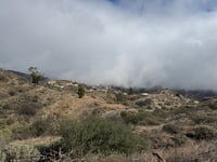 Pico de las Nieves desde Telde