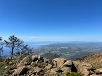 Pico de Los Reales da Estepona