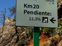 Pico de Los Reales desde Estepona