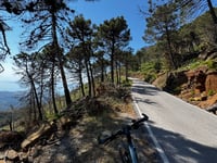 Pico de Los Reales desde Estepona