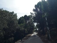 Pico de Los Reales da Estepona