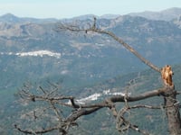 Pico de Los Reales vanuit Estepona