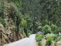 Pico do Arieiro depuis Funchal par Caminho dos Pretos