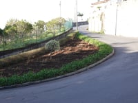 Pico do Arieiro von Funchal über Rua do Comboio