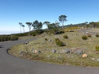 Pico do Arieiro von Funchal über Rua do Comboio