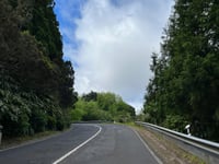 Pico dos Bodes da Povoação