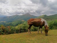 Pico Gorramakil von Puerto de Otxondo