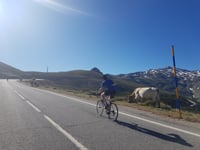 Pico Veleta / Alto de la Sierra Nevada über Collado de las Sabinas