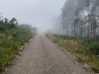 Picu Nolo / La Mafalla par Las Pandiellas