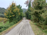 Pideura da Errano