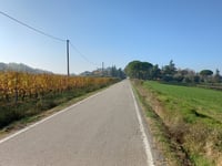 Pideura via Via Mercanta