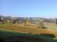 Pideura via Via Mercanta