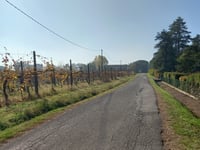 Pideura via Via Rio Biscia