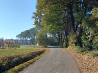 Pideura über Via Rio Biscia