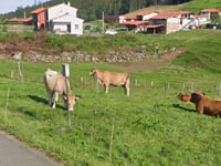 Pielasierra da Río Cabra