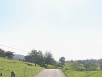 Pielasierra da Río Cabra