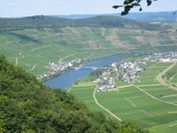 Piesporter Berg von Neumagen