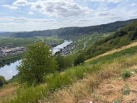 Piesporter Berg da Piesport