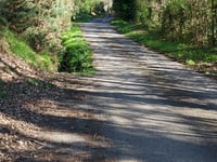 Piétat über Avenue des Sapins