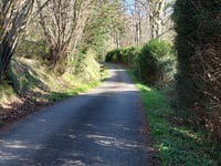 Piétat über Avenue des Sapins