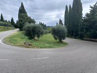 Pigno von Bardolino