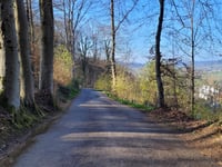 Pilatusbierg