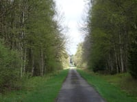 Pilgerweg über Steinbachtal