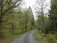 Pilgerweg über Steinbachtal