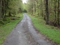 Pilgerweg über Steinbachtal