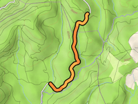 Piste Forestière de l'Alzeau