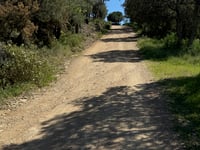 Pla d'en Punxa da Girona
