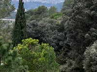 Pla d'en Punxa da Girona