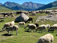 Pla de Beret z Baqueira