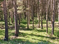La Rabassa przez Juberri
