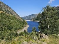 Pla de Laspeyres da Aston