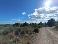 Pla de Roda depuis Cova de la Caserna